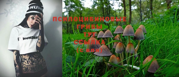 прущие крисы Санкт-Петербург