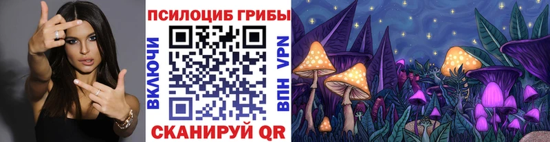Галлюциногенные грибы MAGIC MUSHROOMS Талица